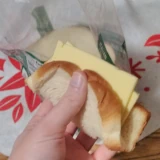 A left hand holding a vegan cheese sandwich